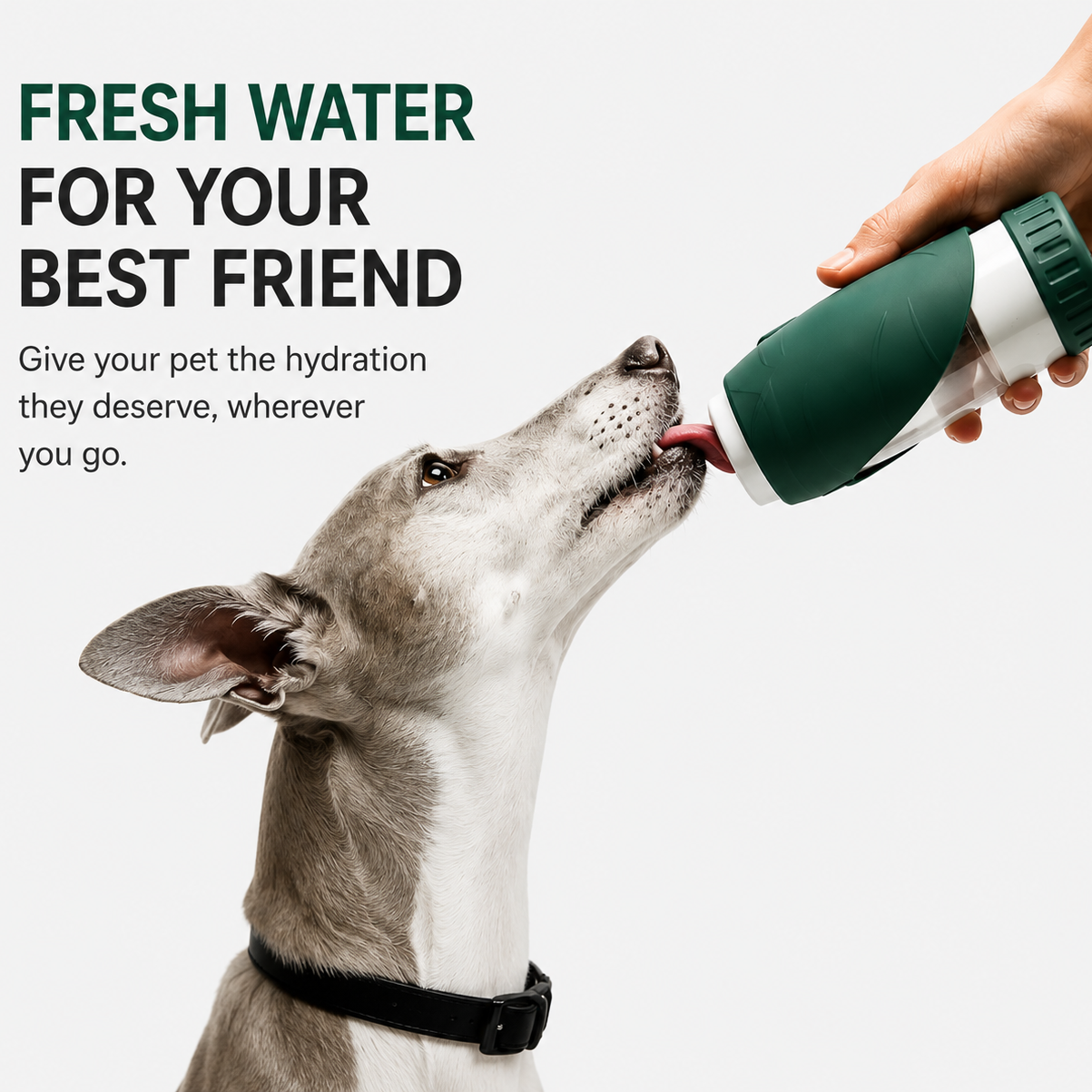 2-in-1 Portable Dog Water Bottle & Food Bowl – Leakproof Foldable Travel Feeder for Pets